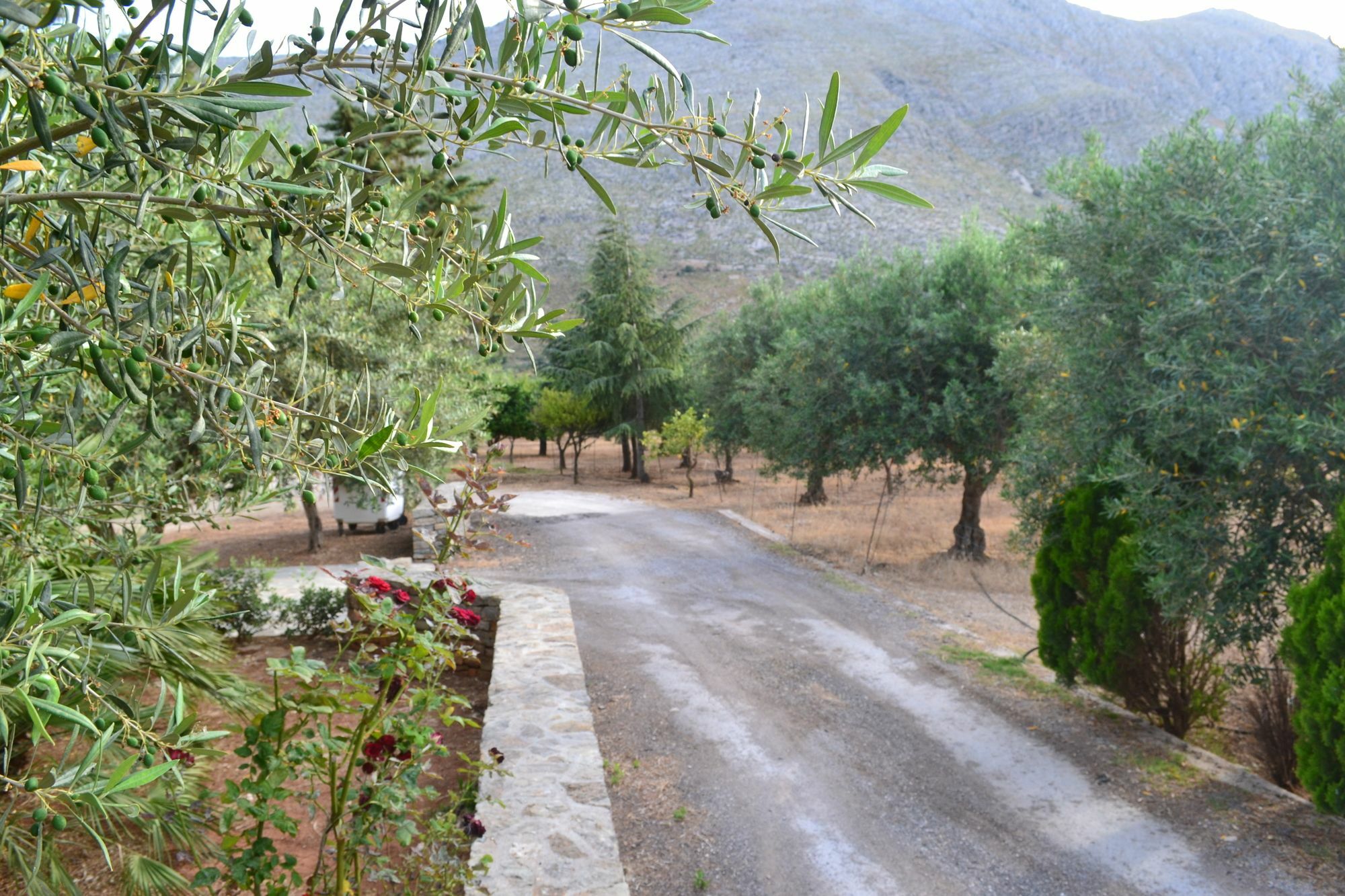 La Giara San Vito Lo Capo Villa Castelluzzo Exterior photo